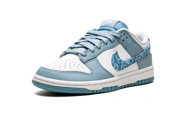 NK Dunk Low Essential Paisley Pack Worn